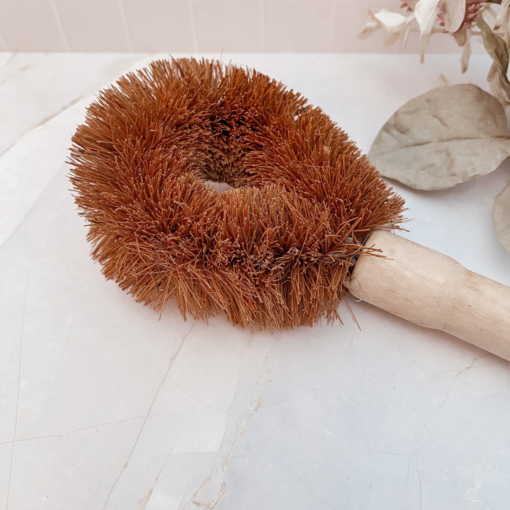 Coconut fiber cleaning brush on a light surface with dried leaves.