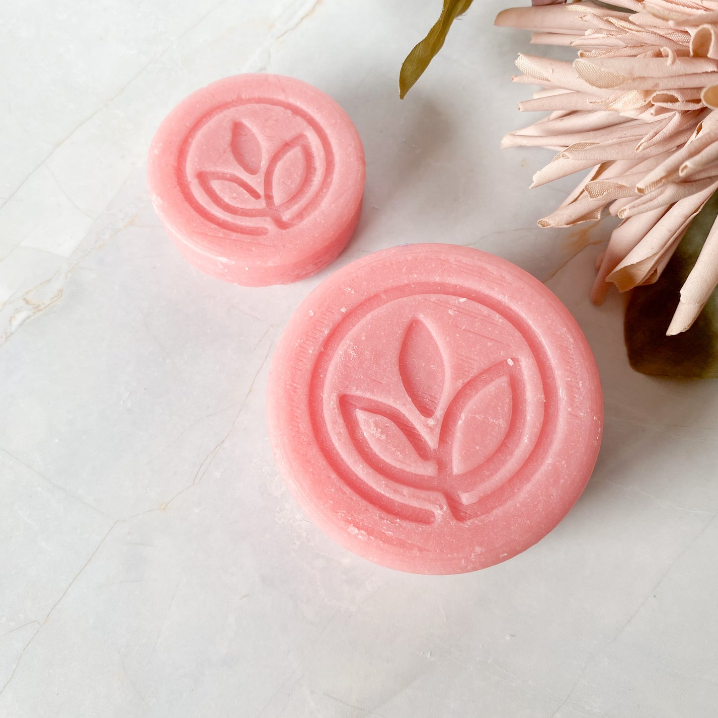 Solid Shampoo Bars