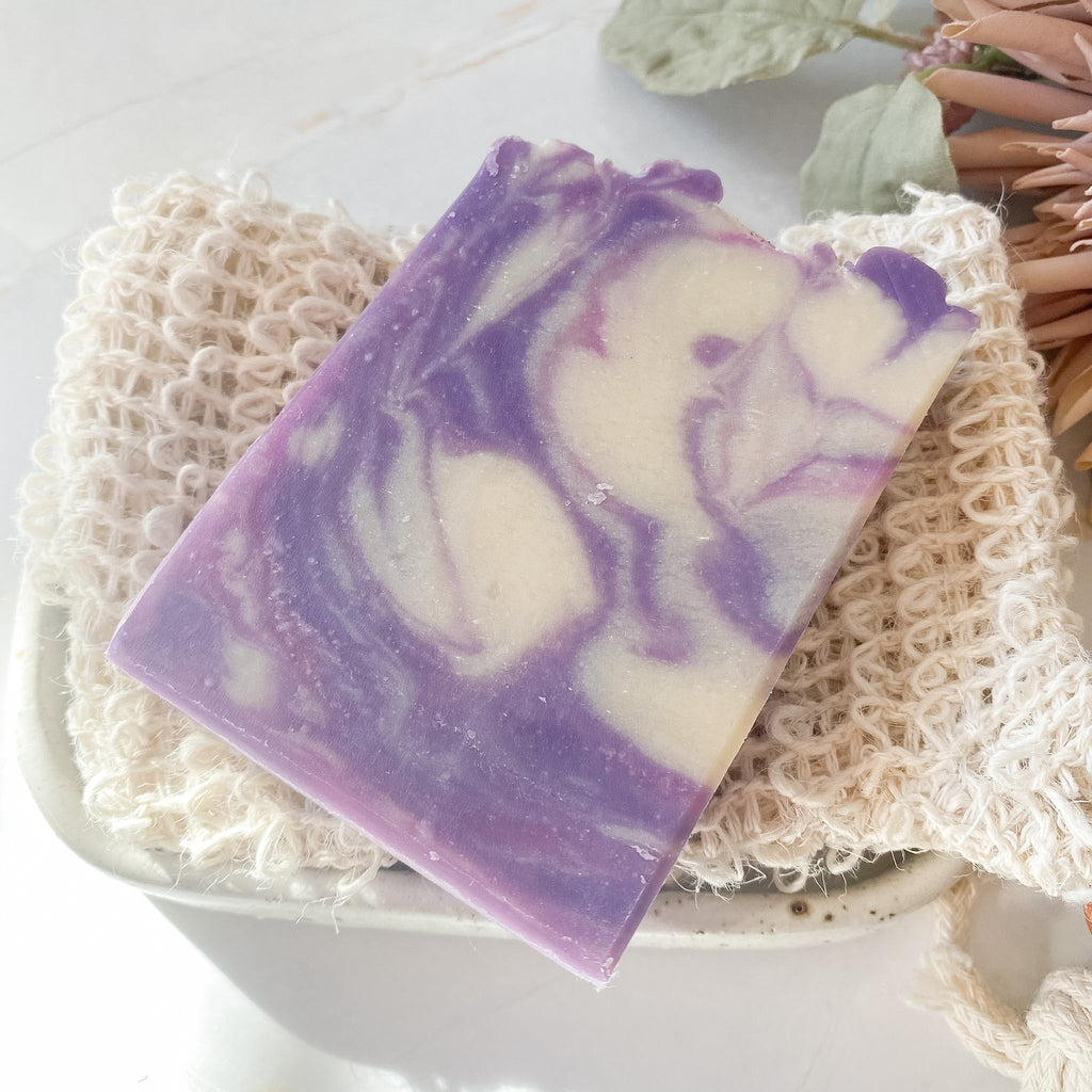 Purple and white soap bar on a loofah with a blurred natural background